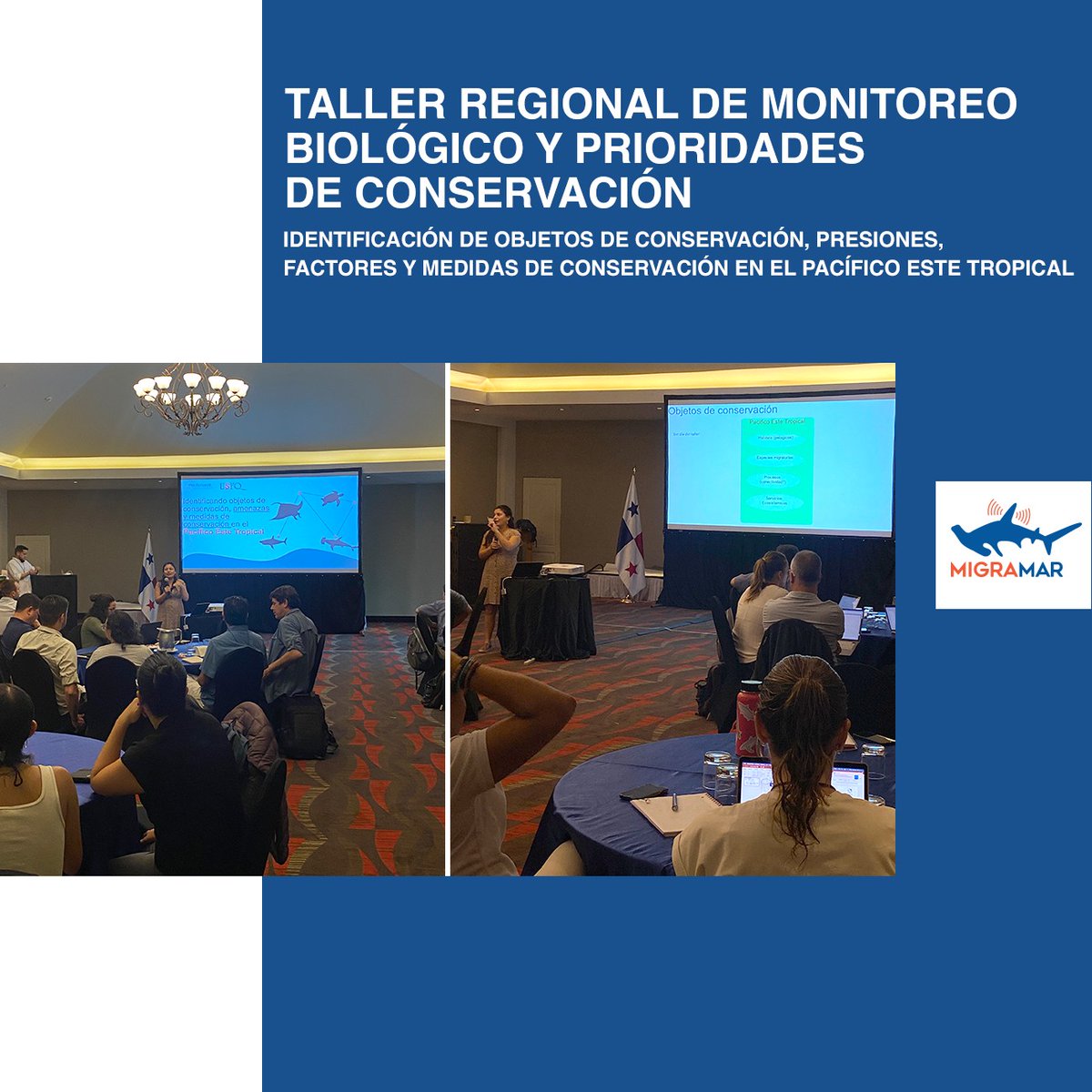 #TALLER El pasado 1 de agosto, tuvo lugar una plenaria y discusión sobre la identificación de objetos de conservación, presiones, factores y medidas de conservación en el Pacífico Este Tropical. Conoce más: facebook.com/photo/?fbid=69…