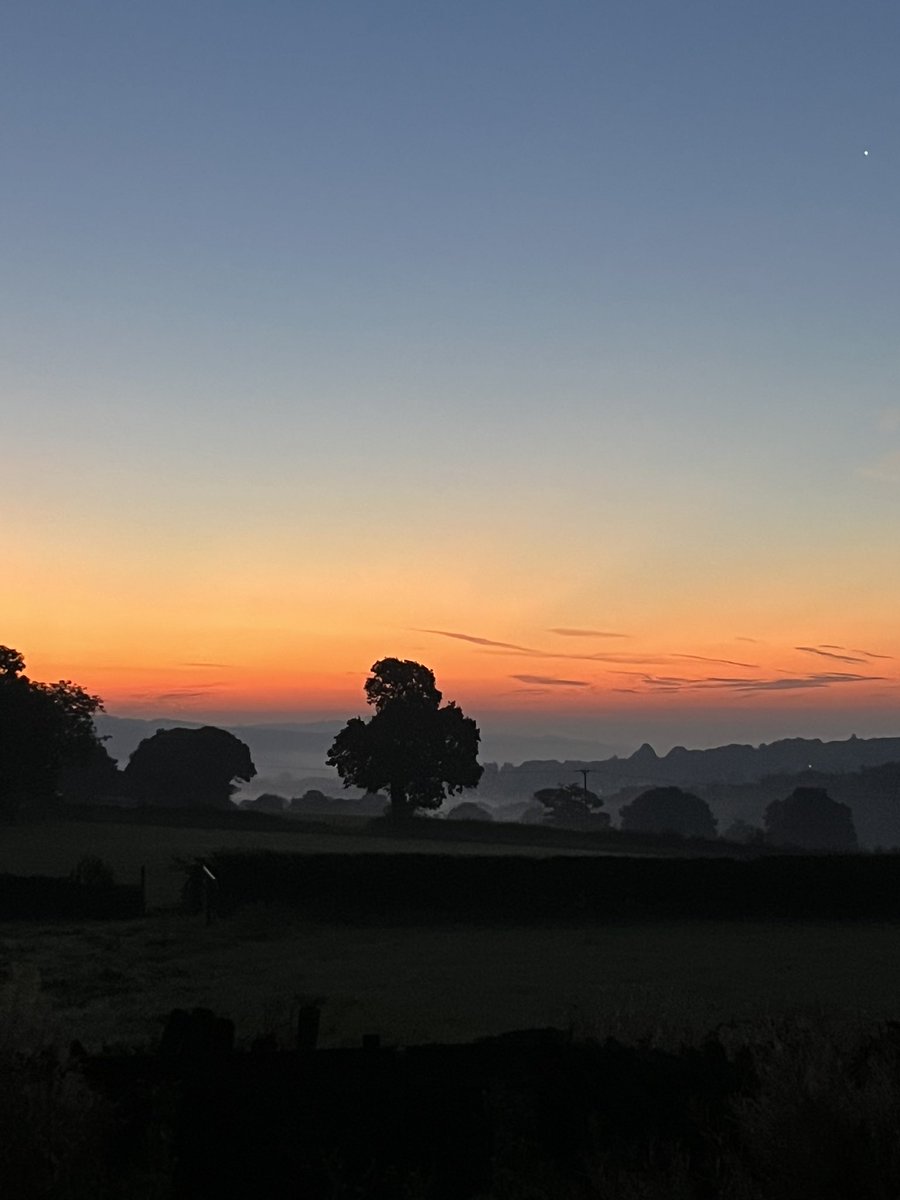 View from the veg patch this morning…