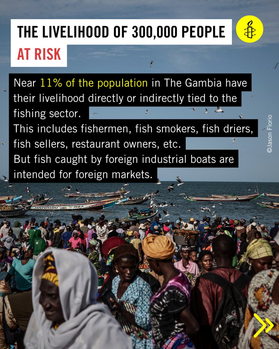 amnestyghana's tweet photo. Amnesty International conducted extensive research in Sanyang and Banjul from June 2021 to April 2022. The investigation aimed to examine the human rights impact of overfishing in Sanyang and the role of fishmeal factories.

#ACW23 
#CLIMATEJUSTICENOW
#amnestyghana https://t.co/MKdsG75GSZ