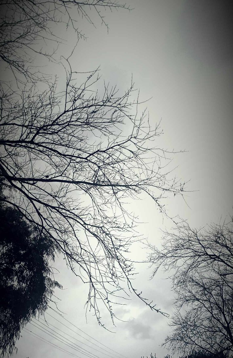 PsychMedTaper's tweet photo. Managed to go for a short walk today...
First time in 5? weeks?
The rain felt so good on my face.
Small steps... https://t.co/by0SFH1OL2