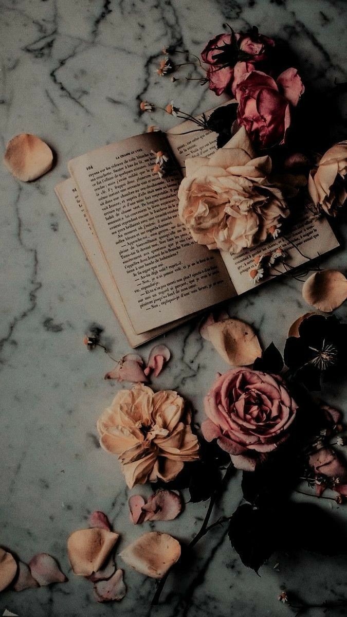 _indigodreams_'s tweet photo. finally, autumn is here. 🍂🍂 https://t.co/FRtP7cVjHV