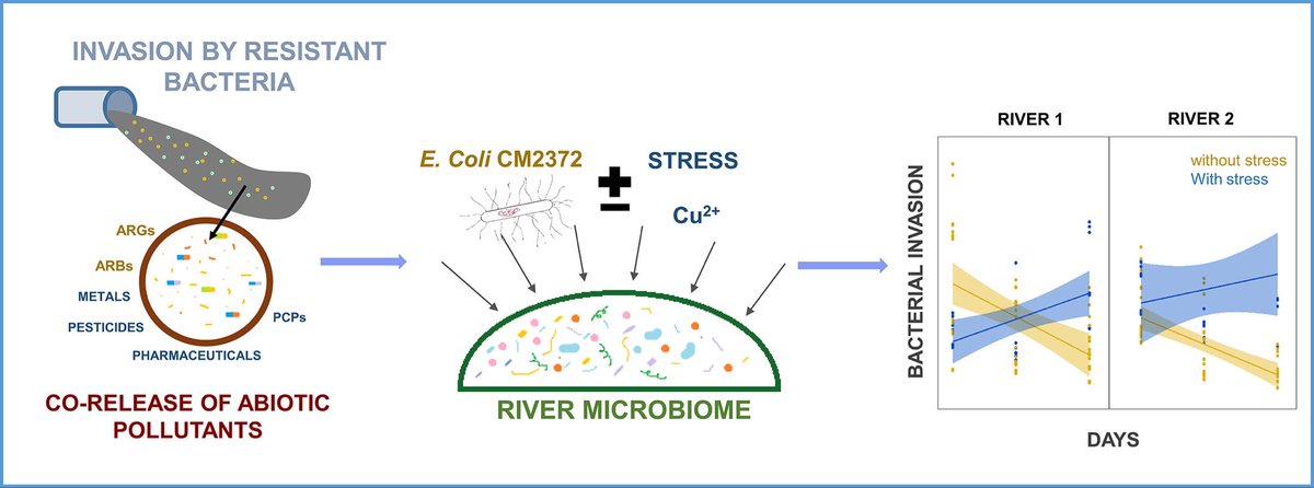 Very proud of my PhD student <a href="/Kenyum_b/">Kenyum Bagra</a> for her first paper being out in <a href="/STOTEN_journal/">STOTEN</a>

Environmental stress increases the invasion success of antimicrobial resistant bacteria in river microbial communities

doi.org/10.1016/j.scit…
<a href="/ANTIVERSA1/">ANTIVERSA</a> <a href="/DAAD_Germany/">DAAD News</a>