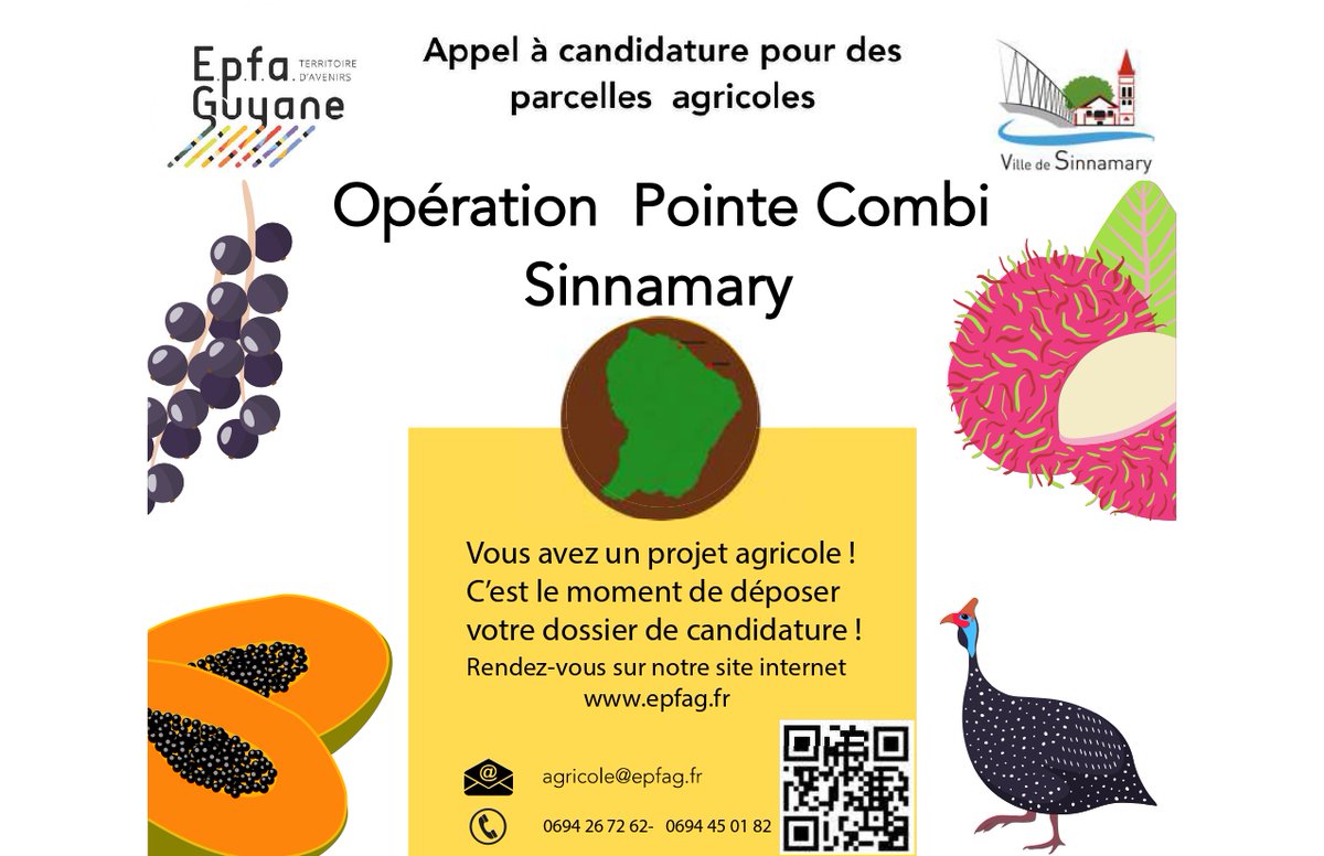 📢APPEL A CANDIDATURES 
C'est parti ! Du 4 Septembre au 20 Octobre 2023 nous lançons un Appel à Candidature pour les parcelles #Agricoles à Sinnamary ne tardez pas et Rendez-vous sur notre site internet ⤵️
epfag.fr/spip.php?artic…