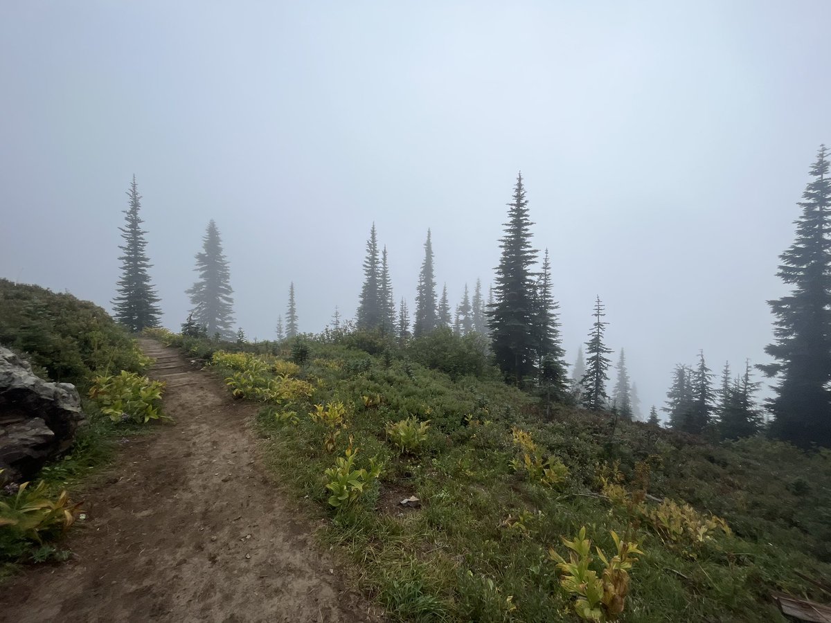 cherly_u_jest's tweet photo. My day looked like this, happy to be hiking in the cool Pacific Northwest weather with my son and my bestie. The mountain was NOT out lol. @visitmtrainier @MountRainierWA @MountRainierNPS @MtRainierWatch #NachesPeakLoop #rainier https://t.co/kOtpDtNoRZ