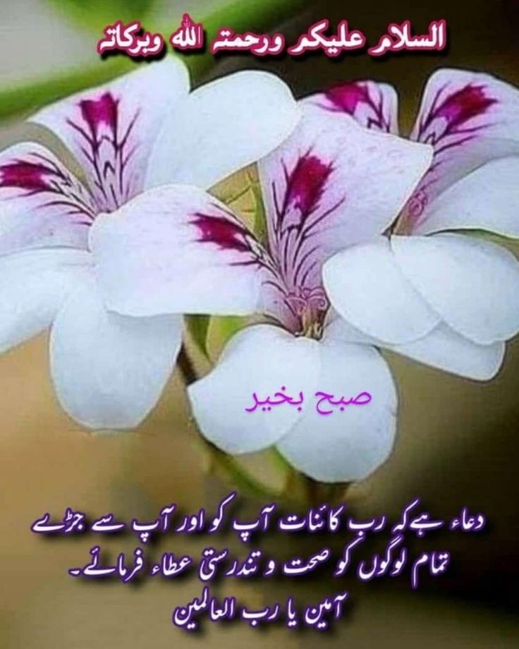 MdaA_3's tweet photo. #مرشد 
☬@pk5125
❤️@d9ich✔️
☬@bayoeLTp
🧡@saq184
☬@Ati__9
☬@n4end
💛@ch_a95
☬@_Ha786
☬@Ghz97
💚@RGN1953
☬@Ao5c8
☬@my_duas
💙@duam21
☬@maham916 
☬@rza514
💜@sawar333
☬@Fdkm313
☬@SallyJjji
💟@saq514
💟@Jmphil
💟@Pk50K
💟@saw5125
💟@Eles26
💟@MdaA_3
💟@Rsheikh95 ❤️ https://t.co/G0bge6UVpF