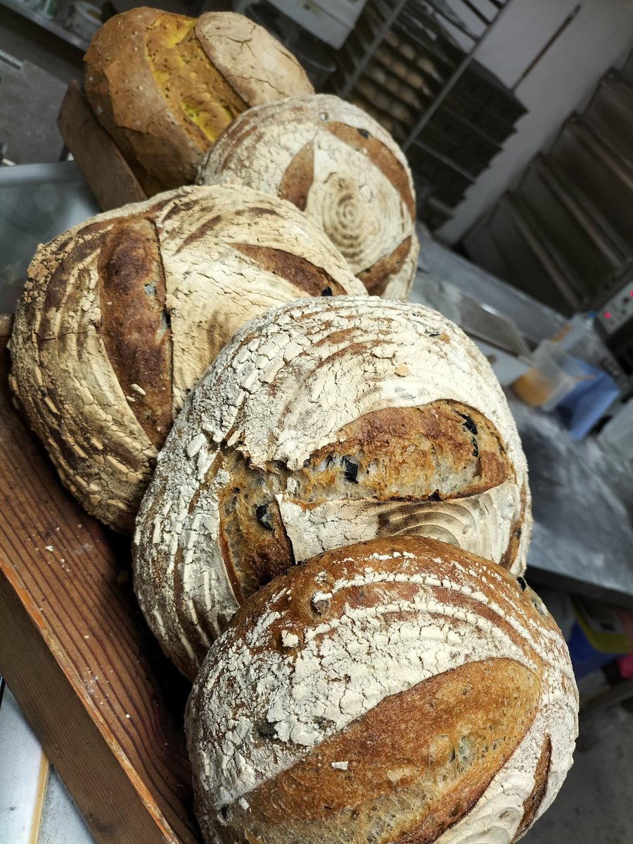 Good morning everyone, I hope you all had an enjoyable weekend. Our bread of the day today is our Black Olive Sourdough 😋 available in our shop and at Conscience Foods &amp; Lifestyle in Keynsham 😁

#sourdoughseptember #realbread #shoplocal #supportsmallbusiness #bakery #warmley