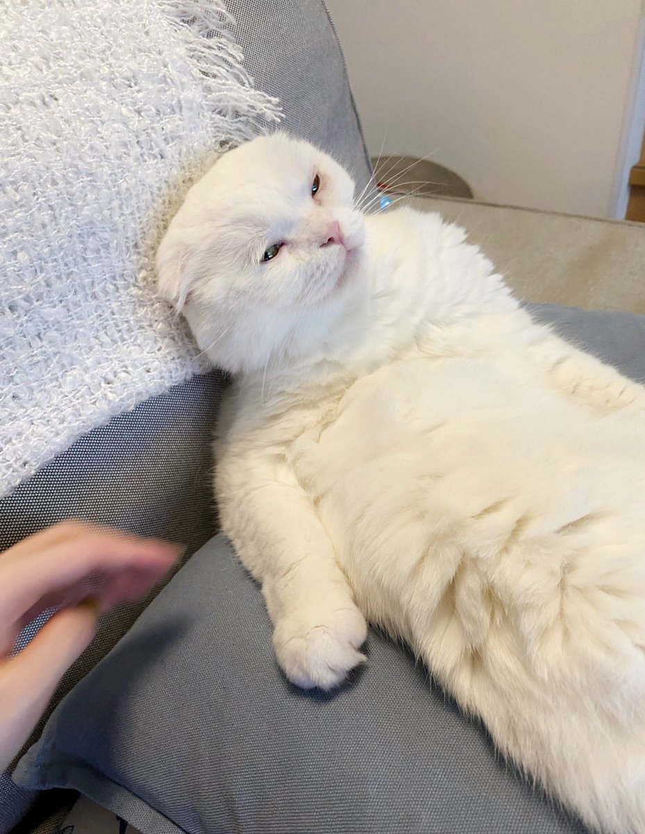 大好きなヘッドマッサージで魂抜けかけ

#おっさん