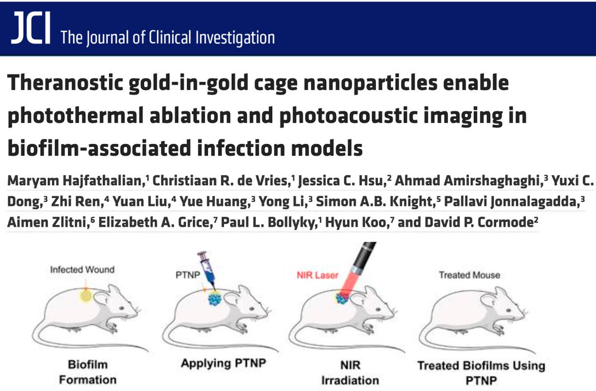 Excited to see our work on using nanoparticles to treat #Pseudomonas biofilm infections out. Congratulations to Maryam Hajfathlian, @DavidCormode and the rest of the team.  jci.org/articles/view/…