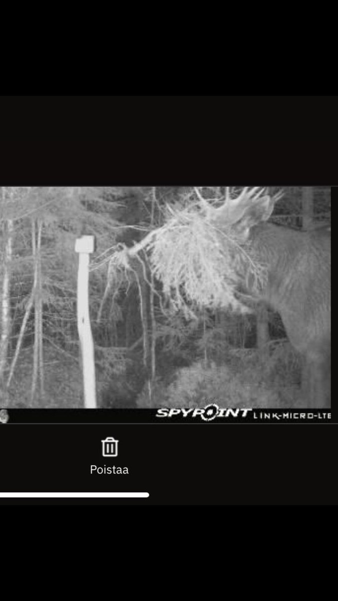 Riistakameraan ilmestyi omituinen otus.