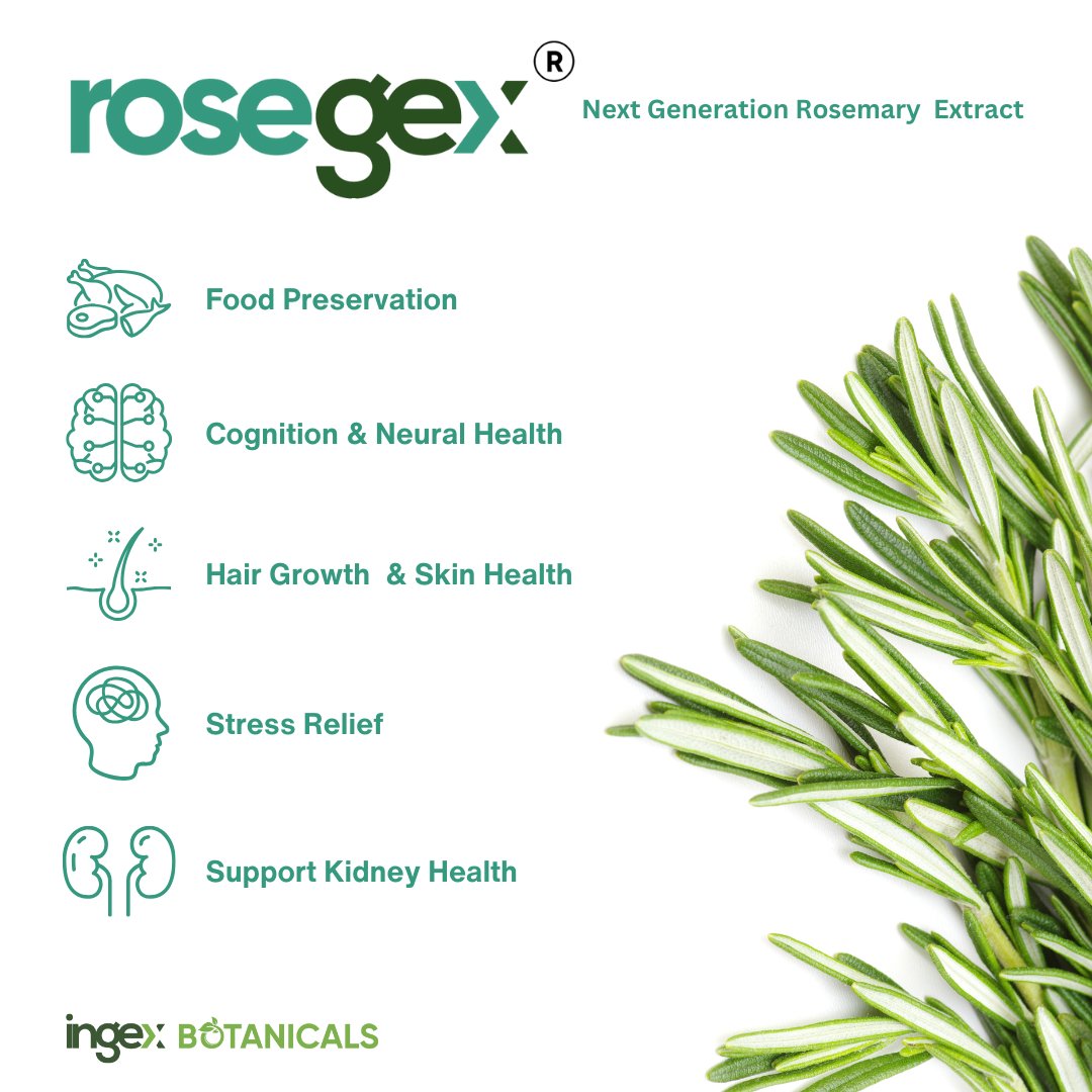 DigitalMar49073's tweet photo. Did you know that rosemary extract is more than just a fragrant herb for your kitchen? It's a natural wonder with amazing benefits for your health and well-being!
๐visit: https://t.co/atWaPUYBNM
#RosemaryLove #NaturalRemedies #HealthyLiving #ingexbotanicals https://t.co/UYEMCAQgoD
