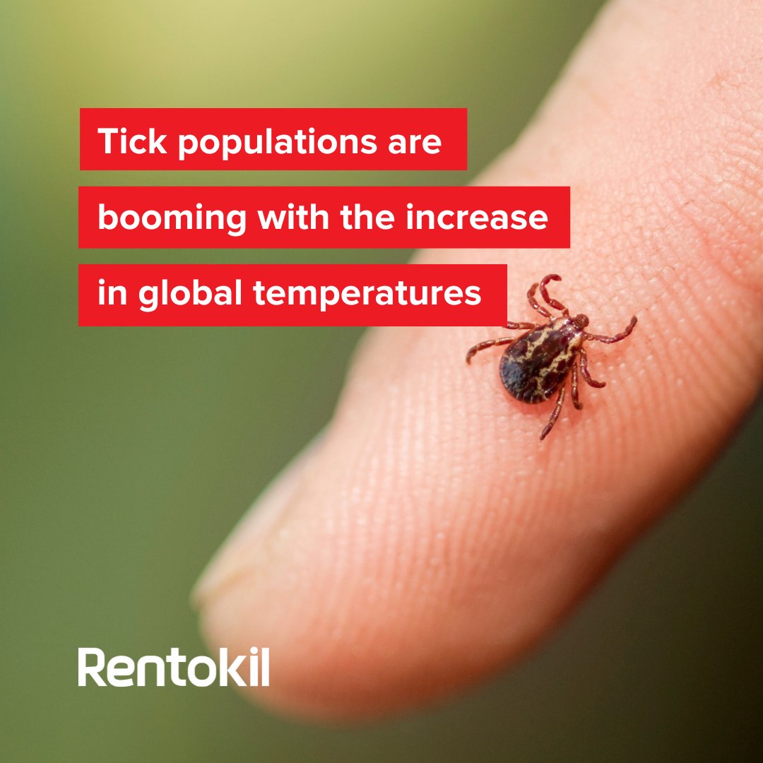 Rentokil's tweet photo. We aren't the only ones feeling the heat from climate change ☀
As rising temperatures alter ecosystems, tick populations are moving into new regions, exposing humans to increased risks of tick-borne illnesses
#TickAwareness https://t.co/2b40uBM8mB
