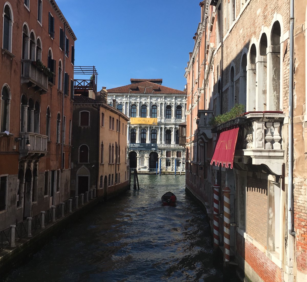 stefania cornaglia tweet media