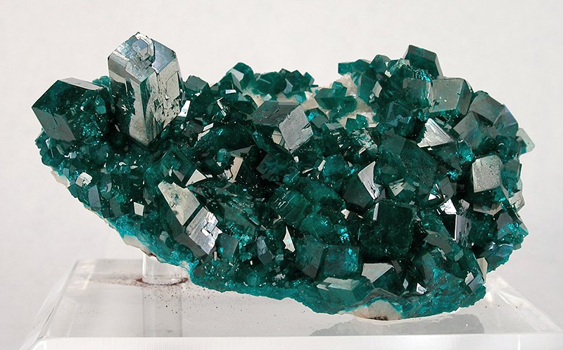 Who would dare not vote for #Dioptase? A beautiful deep green mineral (thanks to copper of course) with near perfect cleavage? That's right! Nobody. #MinCup23