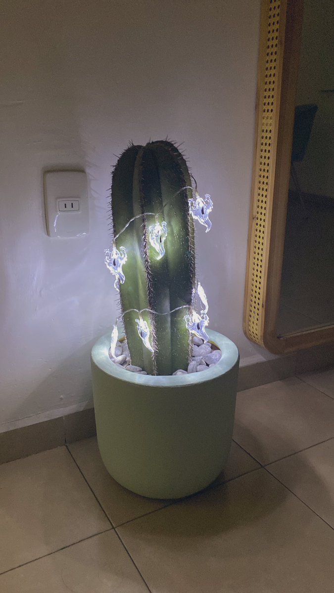 yesisusy's tweet photo. Llego mi época favorita del año 👻 👻 👻 https://t.co/2yXHhu96dV