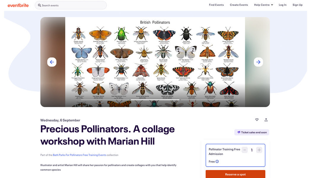I will be running a free insect collage workshop in Sydney Gardens, Bath on Wed 6th Sept at 1pm. Spaces can be reserved through Eventbrite: eventbrite.com/cc/bath-parks-… . Why not come along and illustrate an insect! @BathLifeMag @WeLoveBath