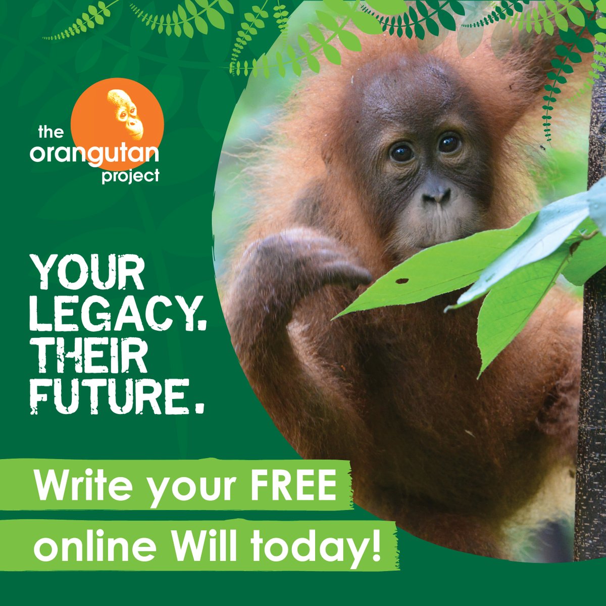 OrangutanTOP's tweet photo. This week, we’re celebrating Include a Charity Week with a FREE Will offer from our partner, Gathered Here.

Follow the link to find out more:  https://t.co/FfyUOuPvGP

#includeacharity #GiftsInWills #yourlegacy #theorangutanproject https://t.co/8HBg15Izzn