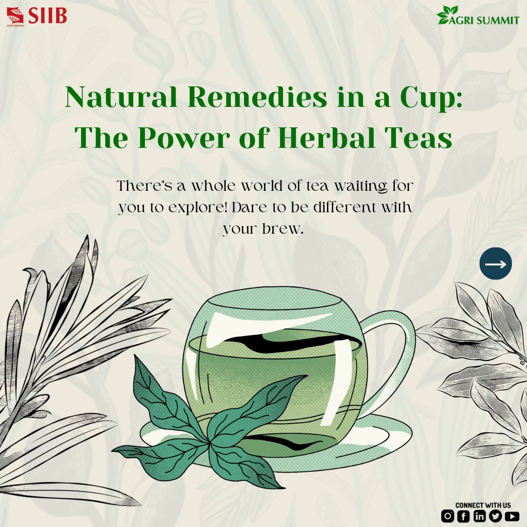 Agrisummit1's tweet photo. Enjoy the soothing power of  tea. Take a moment to relax, let go of stress, and find your inner peace. There's nothing quite like tea time, especially when it brings you good health. Raise your cup to your own well-being!

#Healthytea #Teabenefits #agrisummit #lifeatsiib #siib https://t.co/HdNI1bbCVs