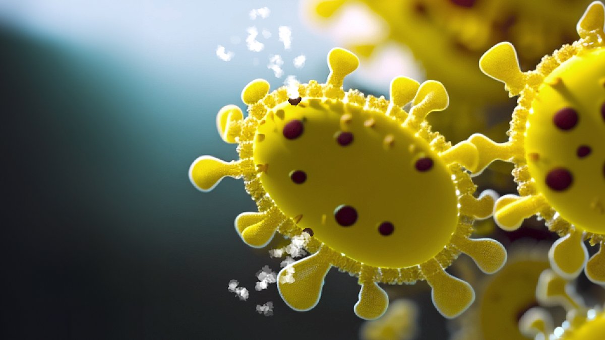 Solar Foods tweet media