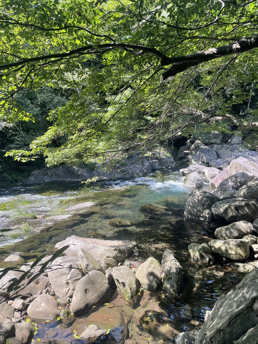 lovelyhbin's tweet photo. hi! i'm so inactive these days but to my defense i'm in jeju living my best life😂☺ https://t.co/HbcQn8r7H4