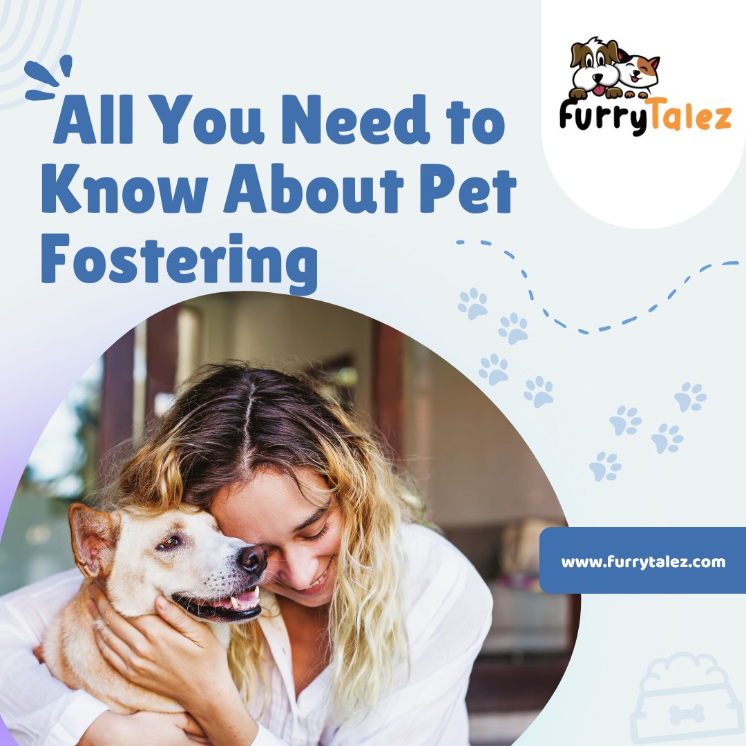 FurryTalez's tweet photo. 🐾 Considering #petfostering? 

It's a heartwarming #journey! 🏡 

Learn the basics: provide temporary #love, care, and a safe haven for #furryfriends in need. 🐶

Click here for details: https://t.co/MtpvcTNm6Q

👉𝐅𝐨𝐥𝐥𝐨𝐰 𝐮𝐬: @FurryTalez 🔥 https://t.co/508DZsVXNm