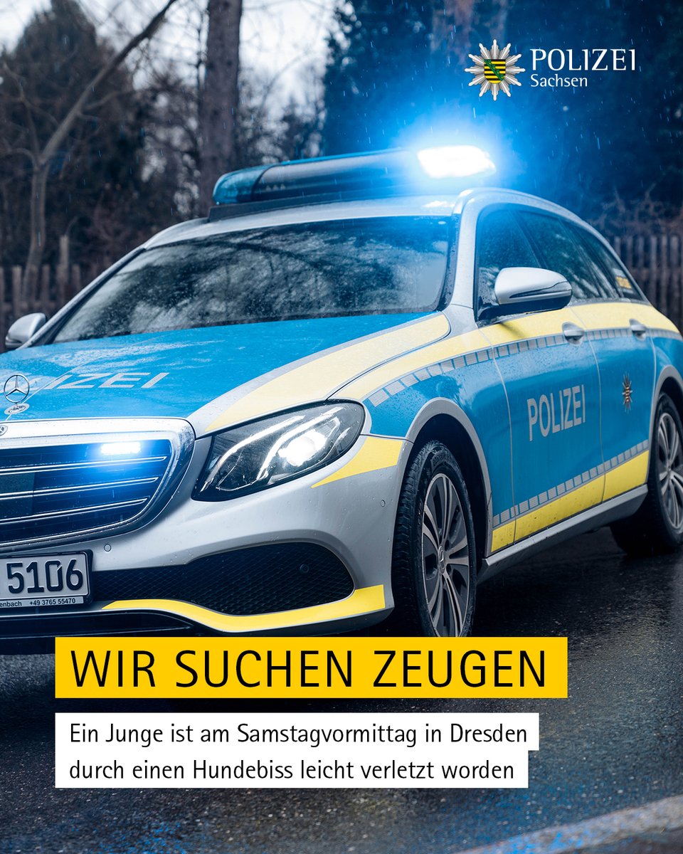 PolizeiSachsen's tweet photo. Ein Zehnjähriger war mit einem Fahrrad auf dem Fußweg der Frankfurter Straße in #Dresden #Löbtau unterwegs, als er von einem Hund angefallen und gebissen wurde. Der Halter hatte das Tier an der Leine, verhinderte aber den Biss nicht. 

Zur Meldung: https://t.co/PkHbJ1X3Dv https://t.co/R06oo2nVcm