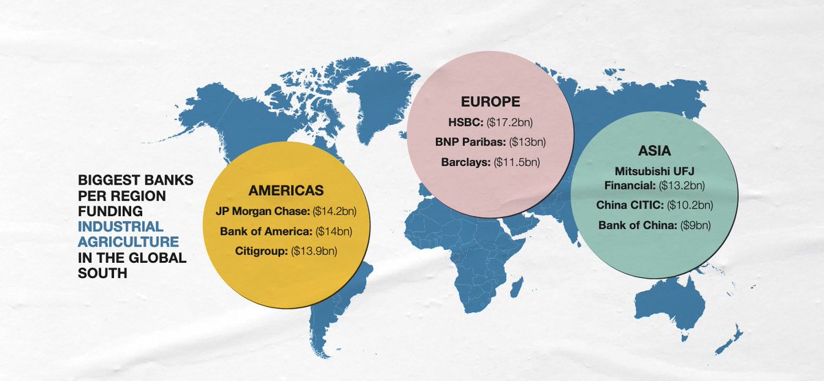 1TeresaAnderson's tweet photo. Written with my co-author @_Oscar_Reyes&amp; @ProfundoNL data whizz @WardWarmerdam, @ActionAid's report "How the #FinanceFlows" evidences the shocking money flows to fossil fuels &amp; industrial agriculture in the Global South, and the biggest culprits.

#FundOurFuture
#FundOurFutureKE https://t.co/BQDw31P2k0