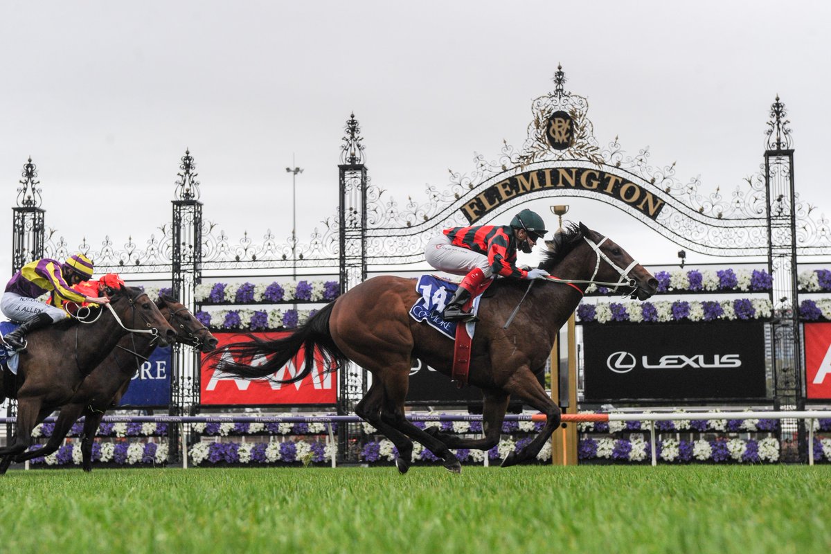 DarleyAus's tweet photo. 🎂 Happy Birthday to #ExceedAndExcel!

👇 Four out of his impressive tally of 18 G1 winners:
🔹 #Bivouac - World Champion Sprinter
🔹 #Overreach - G1 Golden Slipper winner
🔹 #SeptemberRun - Dual G1-winning sprinter
🔹 #MrStunning - Earnt $10.8 million

👉 Who's your favourite? https://t.co/UQgSlxKuGa