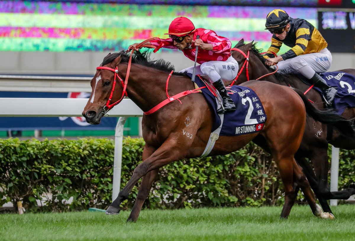 DarleyAus's tweet photo. 🎂 Happy Birthday to #ExceedAndExcel!

👇 Four out of his impressive tally of 18 G1 winners:
🔹 #Bivouac - World Champion Sprinter
🔹 #Overreach - G1 Golden Slipper winner
🔹 #SeptemberRun - Dual G1-winning sprinter
🔹 #MrStunning - Earnt $10.8 million

👉 Who's your favourite? https://t.co/UQgSlxKuGa