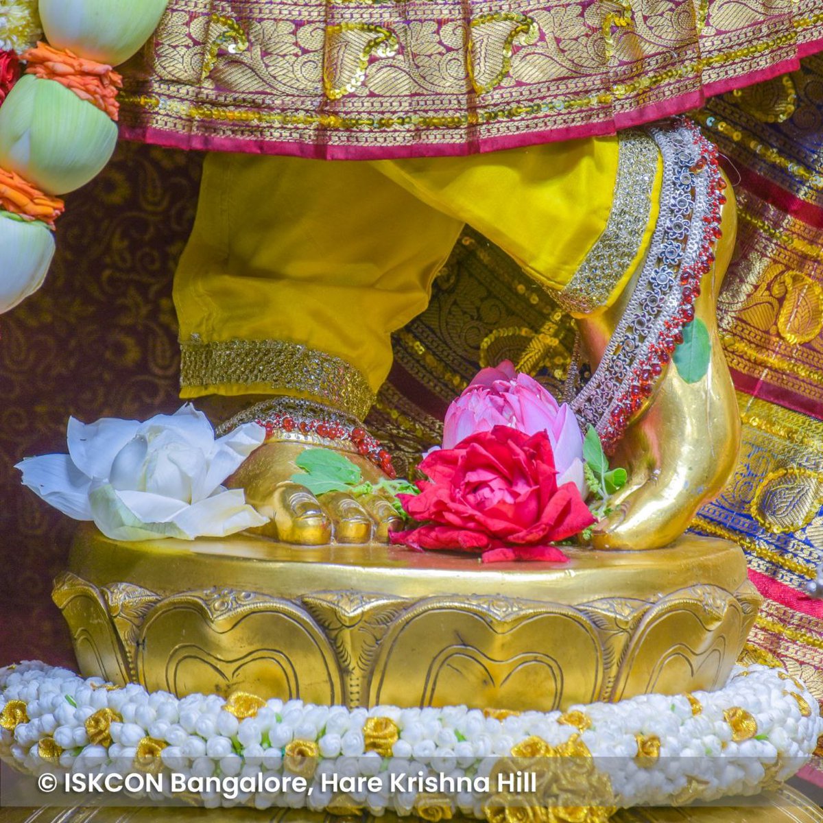 ISKCONBangalore's tweet photo. Daily darshan from ISKCON Bangalore temple - September 05, 2023.

#iskconbangalore #ISKCON #Darshan #Krishna #radhakrishna #srilaprabhupada #harekrishna #tuesdaymotivations #Bengaluru https://t.co/8VSPVFAXZx