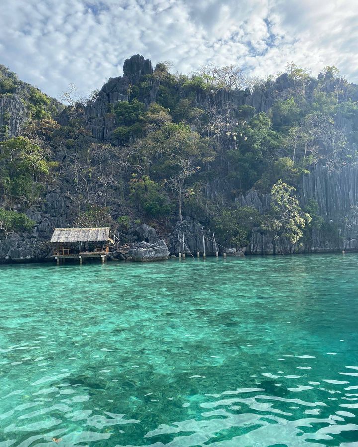 ElNidoTours's tweet photo. Two nights, three days .The Ultimate Expedition Experience! 🌊🌴☀️
Book with us now and reserve a slot for your Ultimate Palawan Adventure. Click the link below and we will make it happen for you.
https://t.co/sbL6icdhdz https://t.co/VUhVzEekCA