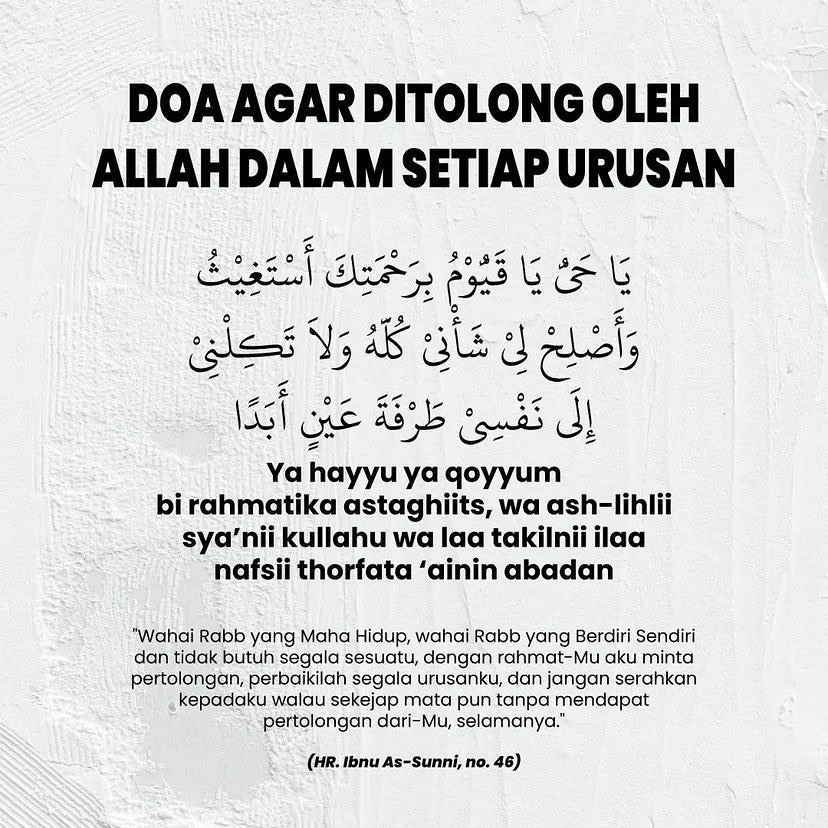 Katta mushuk rasmlar