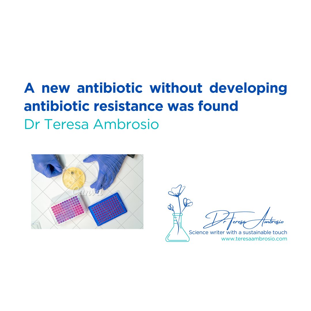 In the relentless battle against #antibioticresistance, a ray of hope emerges from the laboratory - a ground-breaking #antibiotic that seems to defy the odds.
A publication in Cell describe a new molecule called clovibactin which kills bugs without developing resistance