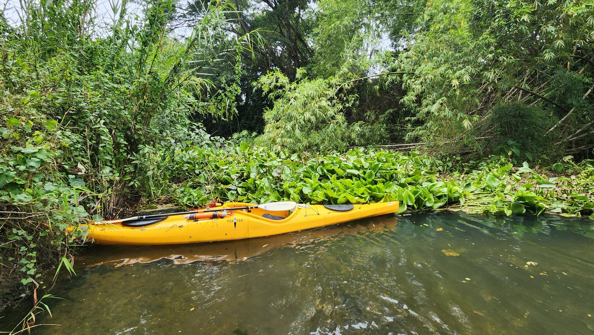 misterkwai's tweet image. Tough day #portage