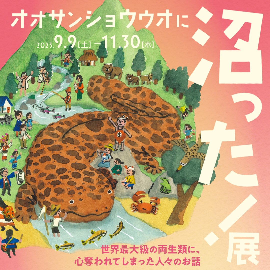 9月9日から／ 「オオサンショウウオに沼った！展」開催✨ オオ