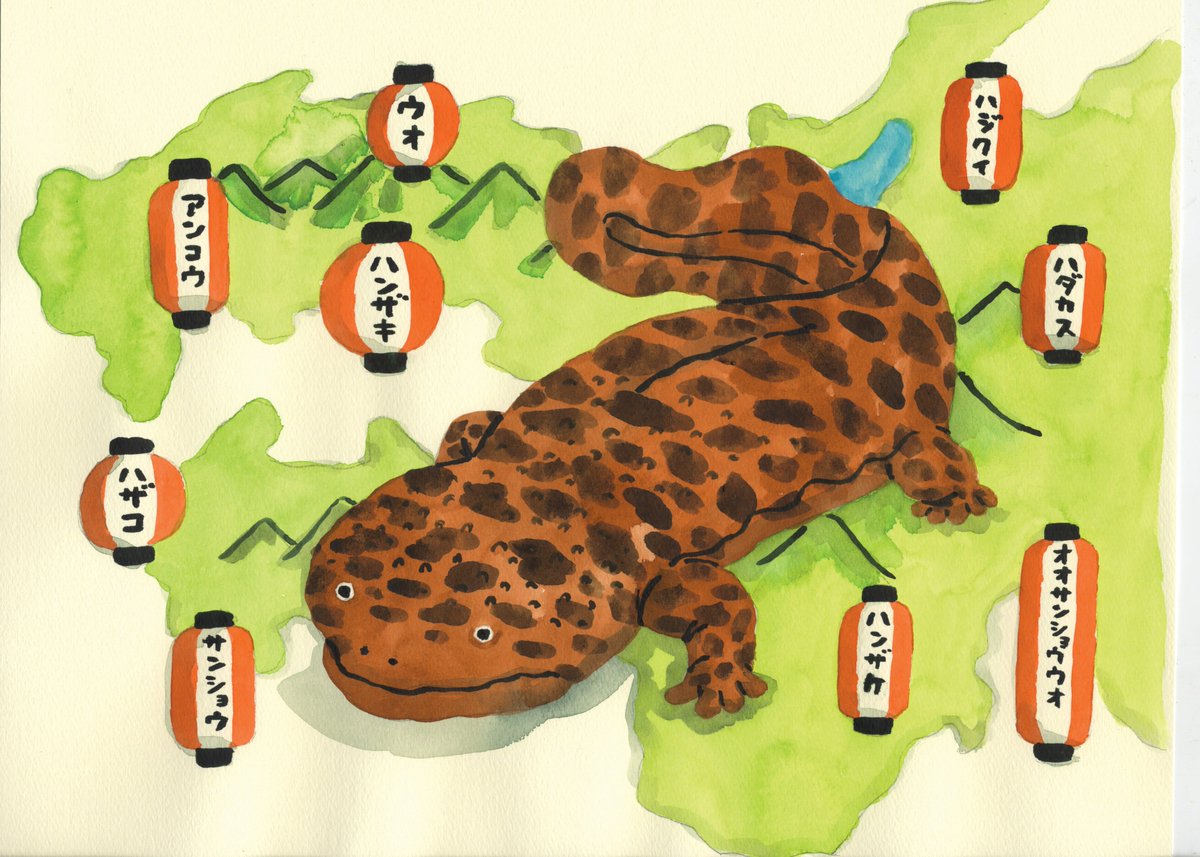 9月9日から／ 「オオサンショウウオに沼った！展」開催✨ オオ