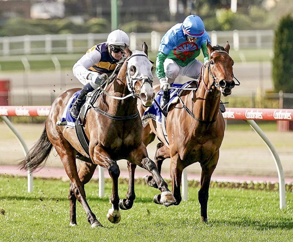 ♠️ On this day in 2017 a champion was born!

Thinking of our dual-G1 winner and Golden Eagle hero, I’m Thunderstruck who gave us some of our best days on the racetrack.

Happy Birthday ⚡️