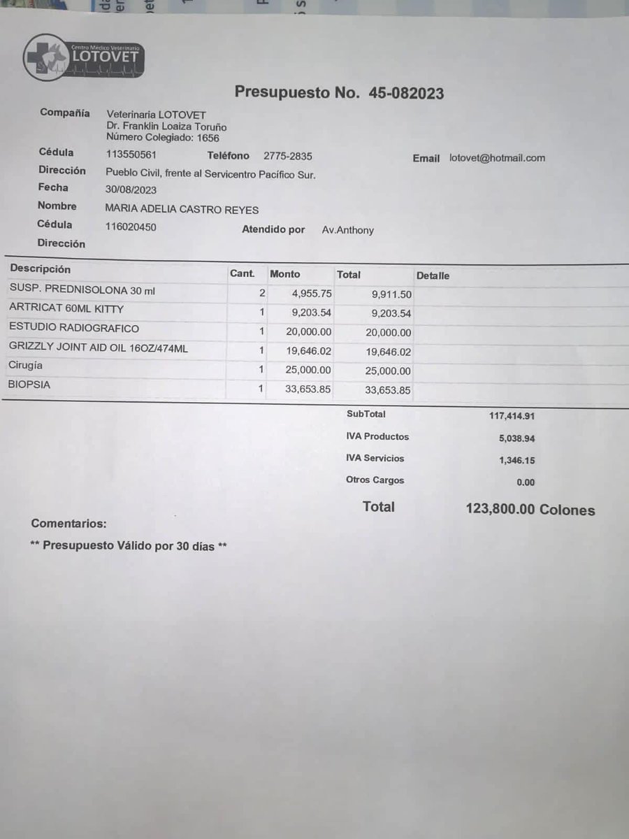 Mriadelia's tweet photo. @JJoelAG  hola Joel, mil disculpas por la confianza, quería ofrecerte un númerito de una rifa a favor de una gatita sin hogar, vale ₡1500, a ella le hicieron una biopsia y se le diagnosticó sinuvitis linfoplasmocitaria y neutrofilica con procesos de reparación, enfermedad de los huesitos, tiene sus patitas izquierdas dañadas pero el dr ya le envió tratamiento para detener l enfermedad, por si te gustaría el premio es una canasta de víveres, sorteo 10 de setiembre, sinpe 87030105 María Castro gracias