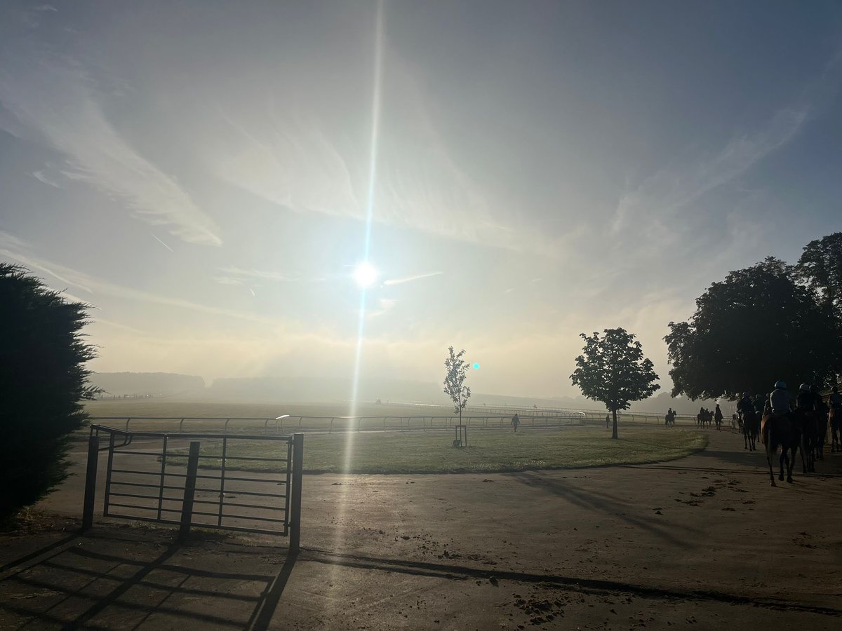 SPearce_Racing's tweet photo. #nofilterneeded @newmarketgallop the view this morning #HQ #sunishining #newmarketgallops #warrenhill #myview @HenryCecilWknd #comeandmeetus #horseracing #racehorses #homeofracing https://t.co/gYQCZiFQvv