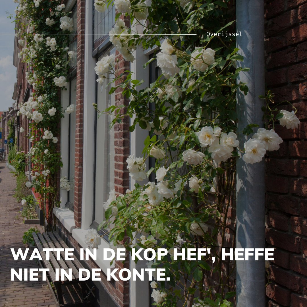 ProvOverijssel's tweet photo. #mooioverijssel #dialect #streektaal #cultuur https://t.co/hNkmhrWncR