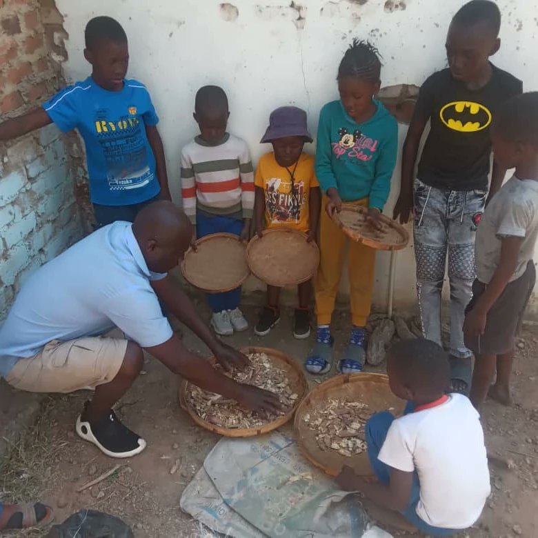 TreeKnowers's tweet image. Busy day collecting and introducing children to different types of seeds that we had picked .Taught them simple methods of separating them from the pods, cleaning, and how to store them safely.

#treeknowersandgrowers 
#environment #trees #seed