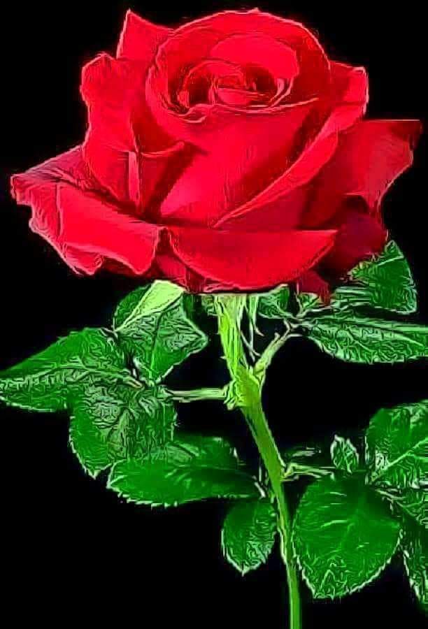 VAMOS INUNDEMOS TWEETER DE ROSAS ‼️
Por todas las MUJERES ASESINADAS ‼️
#NoALaViolenciaMachista 
#NiUnaMas 
POR TODAS ELLAS.