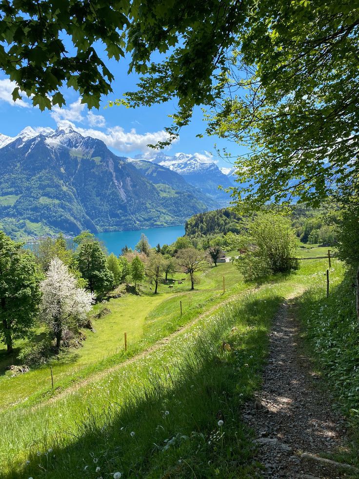 Aleksan52094351's tweet photo. Beautiful 🏞️ https://t.co/yWWWNwJ9DF