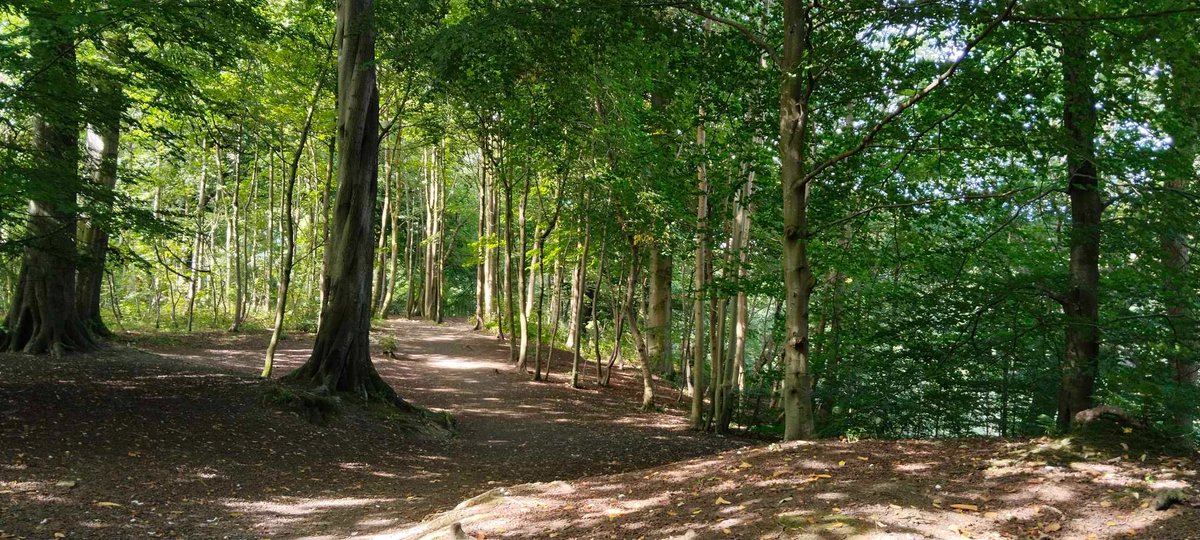 SocratesI's tweet image. Part of the River Kelvin walkway during a Scottish Indian summer #Scotland #walk