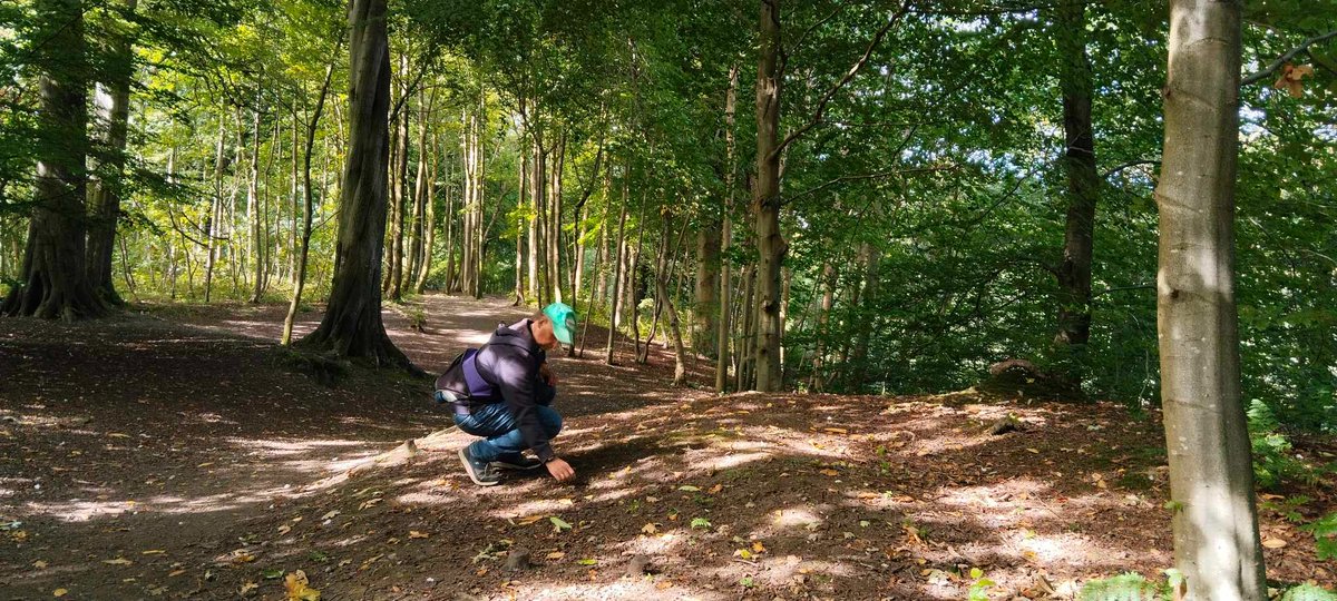 SocratesI's tweet image. Part of the River Kelvin walkway during a Scottish Indian summer #Scotland #walk