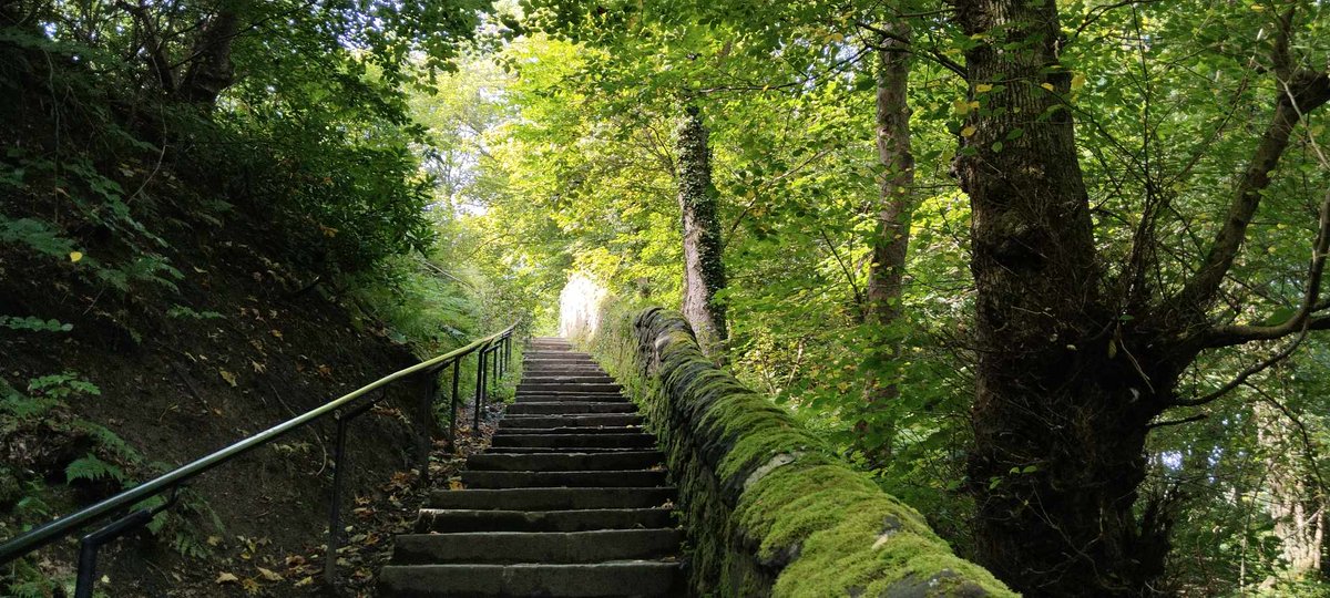 SocratesI's tweet image. Part of the River Kelvin walkway during a Scottish Indian summer #Scotland #walk