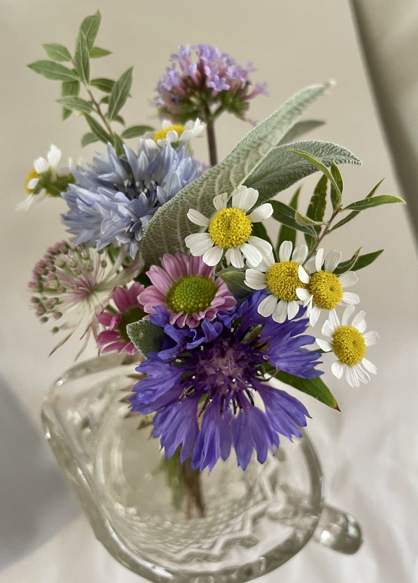SkegnessLisa's tweet photo. Garden meadow wedding vibes - flower crown, buttonhole and bridal bouquet from this weekend π #seacroftflowers #Skegness #Lincolnshireflorist #LincsConnect #Sustainablefloristry #zeroairmiles https://t.co/wRUqcSNnJD