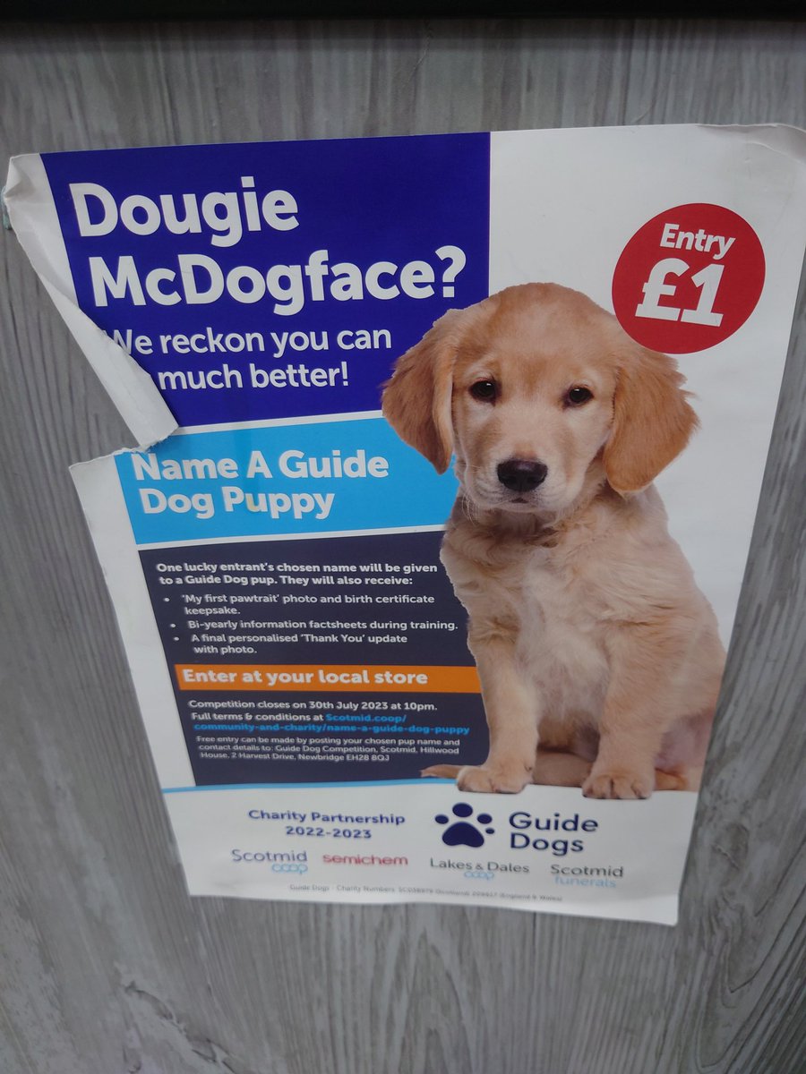 Well I think this is a great name 🤷