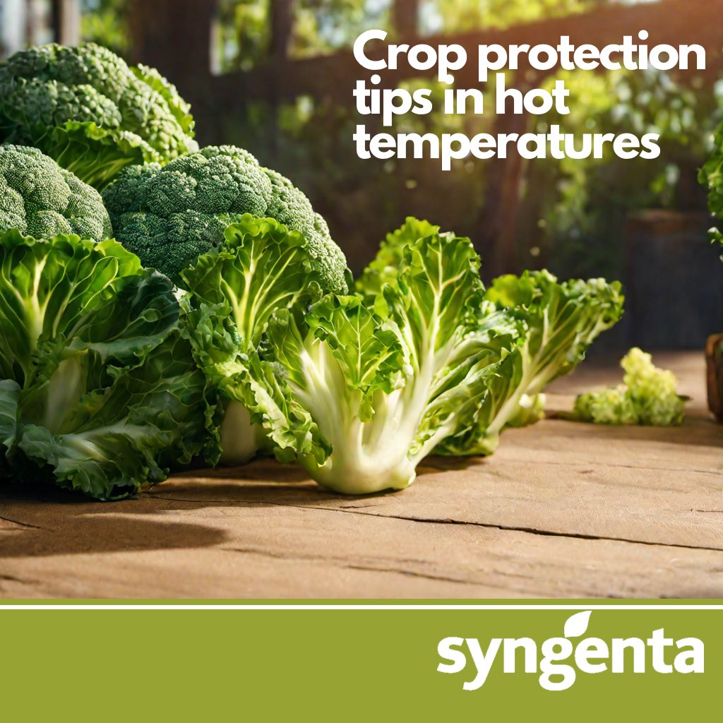 As temperatures rise, so does the number and severity of insect pests
This can lead to significant crop damage, so it's important to take steps to protect your crops

At 09:30hrs,this morning on <a href="/ZiFMStereo/">ZiFM Stereo</a>, we'll be discussing how to protect your crops from insect pests
Tune in!