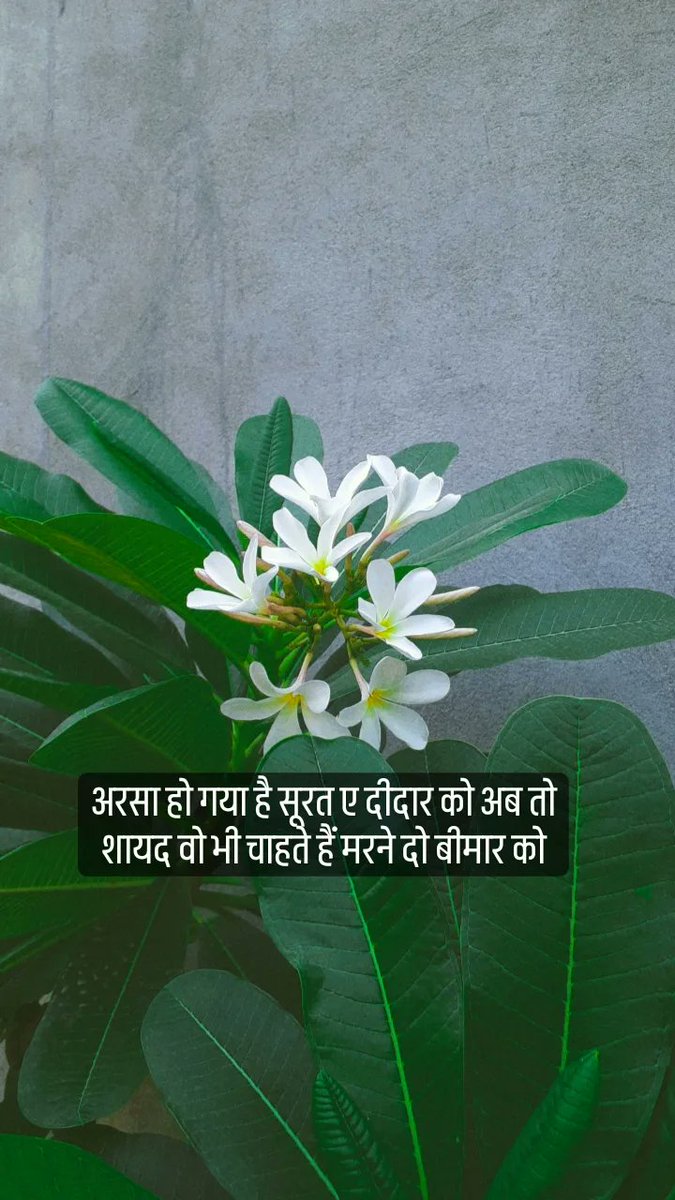 AMAN_SAGAR_12's tweet photo. 💔 https://t.co/e5VQYqPRci