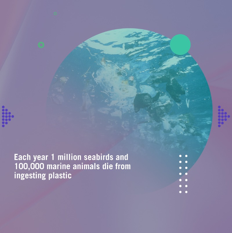 #BeyondTheStraws: Straws are just the beginning; it's time to tackle single-use plastics head-on! Join us in taking the first step towards a plastic-free future 🌍

#NoMorePlastic #MakingProsperity #UNsdgs #Sustainable #Startups #Technology #Innovation #SocialImpact #UAE #Global